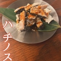 料理メニュー写真 ハチノス