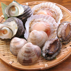 讃岐網元 あんのおすすめ料理1