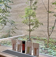 店内外に息づく生薬の緑