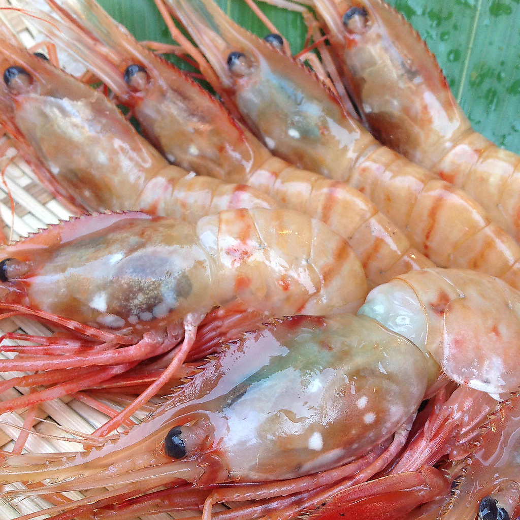 海鮮類がかなりうまい！