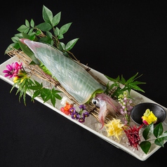 どげん海の特集写真