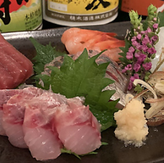 海の幸と日本酒で一杯