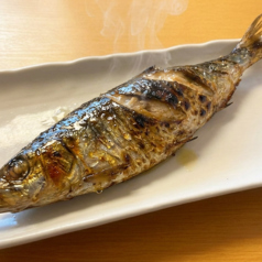 大トロにしん１本焼き