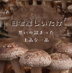 白老産しいたけ