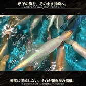 雑魚屋 長崎思案橋店のおすすめ料理3