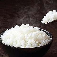 白ご飯