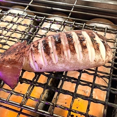 イカの漁師姿焼き
