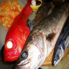 東京諸島・江戸前の魚介類