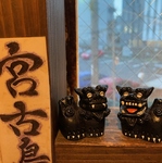 島には魅力的な愛らしさ