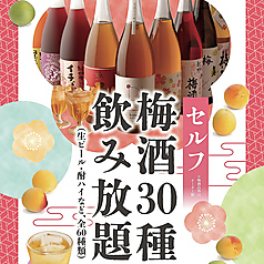 ◆梅酒30種セルフ飲み放題◆まるで大人のドリンクバー