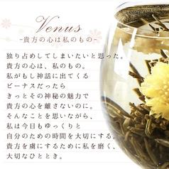 菊・茉莉花の花『東方美人』