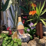 南国のゆるさを感じてほしい