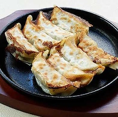 たっぷり野菜餃子