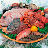 うお扇 立川のおすすめ料理2