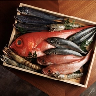 目利きが光る！活気あふれる「鮮魚」の世界◎