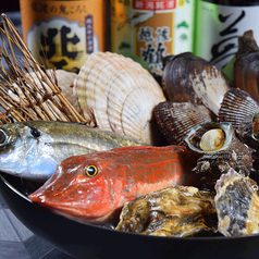 朝獲れの新鮮な魚介類も豊富にご用意！