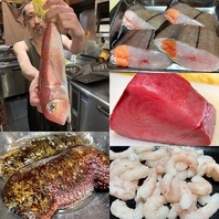 日替わりオススメ鮮魚！2026/01/21 今日のオススメ♪