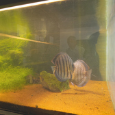 竜桜亭の雰囲気3