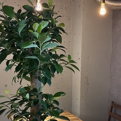 神戸洋食 トリコロールの雰囲気3