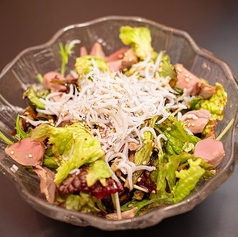 シラスと砂肝の梅サラダ