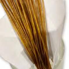 ポリポリ揚げパスタ