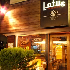 Lotus　ロータスの写真3