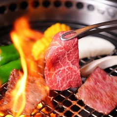 貸切可能!上質なお肉をご提供いたします
