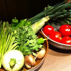 旬のお野菜