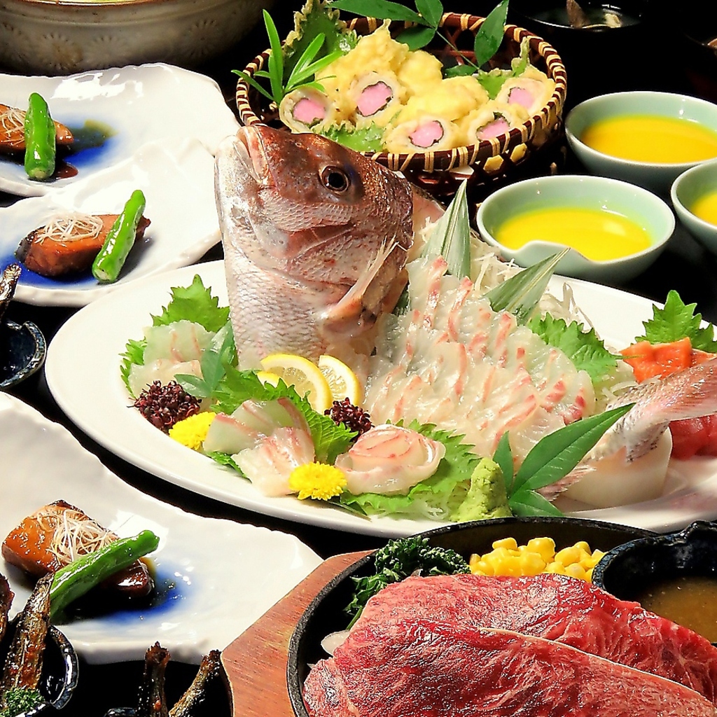 天草産鯛や本まぐろなど、鮮度抜群な海鮮が豊富♪単品注文でもコースでもご堪能いただけます