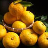 【柚子の名前の由来】その語源には2つの説があります。中国でゆずの木は「柚（ユウ）」、果実は「柚（ユ）の実（ズ）」と呼ばれ、それが「柚子」に変化したと考えられています。また、ゆずは古来より食酢として利用されていました。そのため、本来の「柚」から「柚酢」となり、更に「柚子」と変化した説もあるようです。