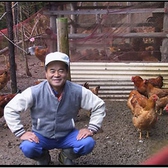 【宮崎県産うなま山地鶏】宮崎県の美郷町の山林で抗生物質を一切与えず、120～150日間育てられた地鶏です。昼夜の温度差が大きい為、油ののった鶏に育ちます。身がしまっているがやわらかく脂に旨味が凝縮した上質の地鶏です。 