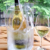 世界のワイン、北海道ワインは専用のワインボトルクーラーにてお持ちします