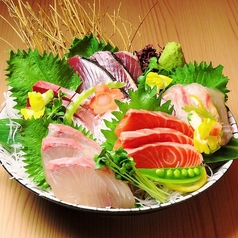 【刺身の盛合せ】極食う五点盛