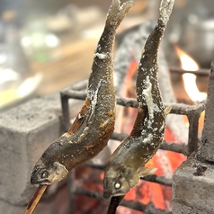 炉端焼きならではの食感と風味を楽しめる