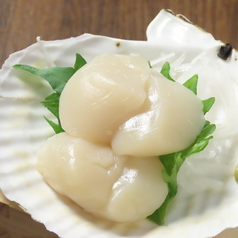 海鮮居酒屋 順厚丸の特集写真