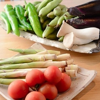 旬のお野菜とお魚を使用◎上質なひと時をお楽しみ下さい