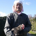 【京都府産丹波黒どり】京都府亀岡市の山林で繊維質の多い自家製配合肥料を与え、健康な鶏を育てています。 肉質はきめ細かく、鶏肉の臭みはなく、程よい歯ごたえとコクのあるおいしさです☆