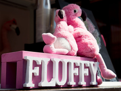 Fluffyの外観1
