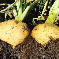 Farm kitchen ルタバカのおすすめ料理3