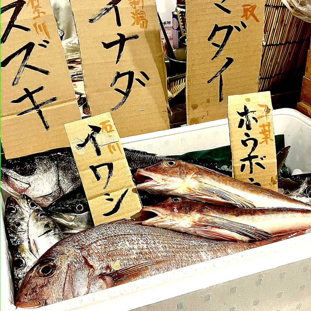 全国漁港より新鮮鮮魚入荷中！毎日が大漁祭り！