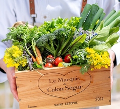 こだわりの新鮮食材♪