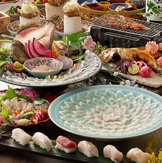 博多炉端 野が海のコース写真