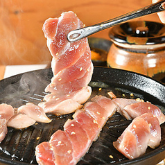 千日前まぐろセンターの特集写真