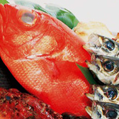 千葉県館山船形漁港より直送される新鮮な朝取れ鮮魚を是非ご堪能下さい。