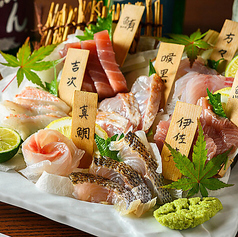 とと盛り鮮魚七点盛り