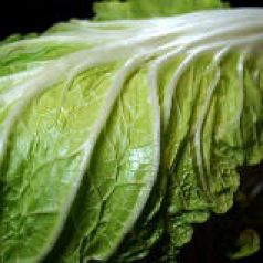 [契約農家直送野菜]