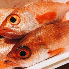 独自のルートで仕入れる新鮮な高級魚