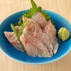 本日のおすすめ鮮魚