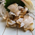 料理メニュー写真&nbsp;活つぶ貝　刺身