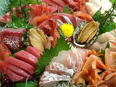 鮪、鮑、平貝、蛸、帆立、関鯖、鯛、水松貝、鰹、白海老、鯵、雲丹、烏賊など